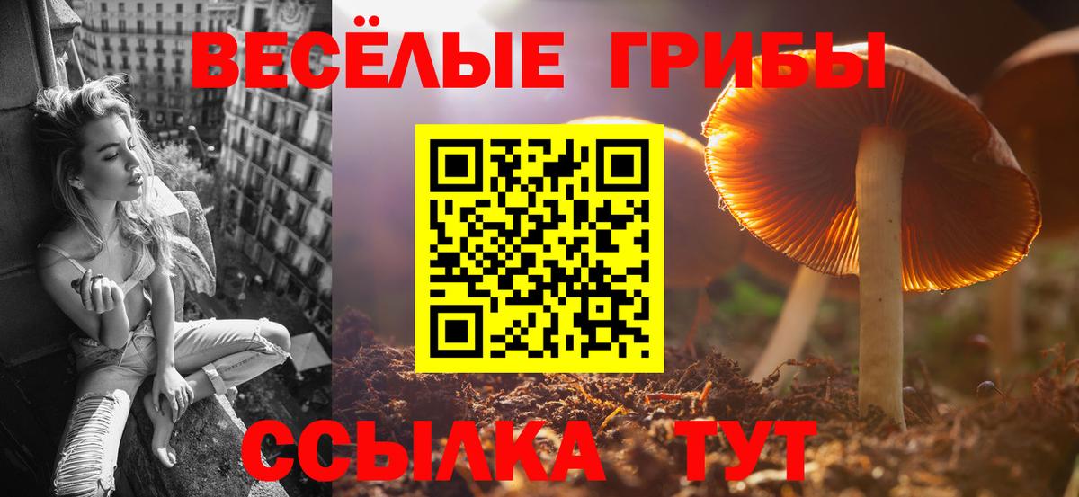 Псилоцибиновые грибы мицелий Мыски