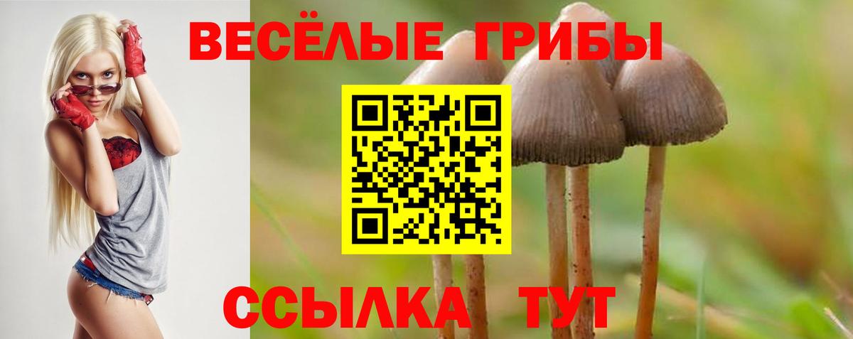 Псилоцибиновые грибы GOLDEN TEACHER  где купить наркоту  Мыски  Вход с VPN 